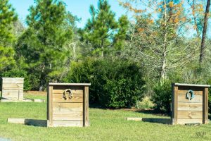 Horseshoes